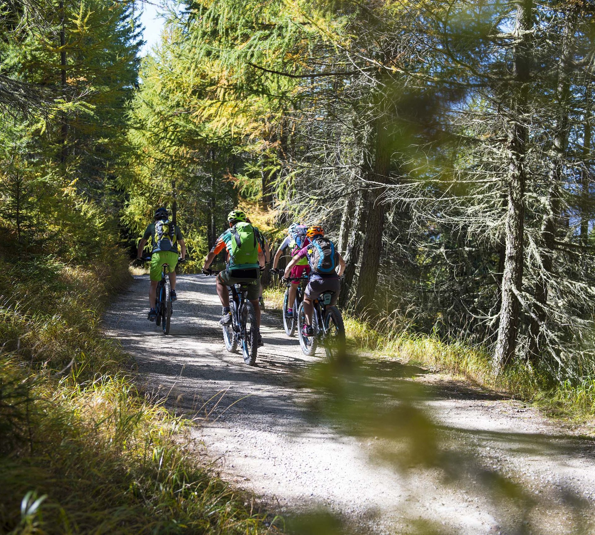 Euer E-Bike-Hotel in Südtirol Gruppe von Mountainbikern fährt auf Waldweg bei sonnigem Wetter