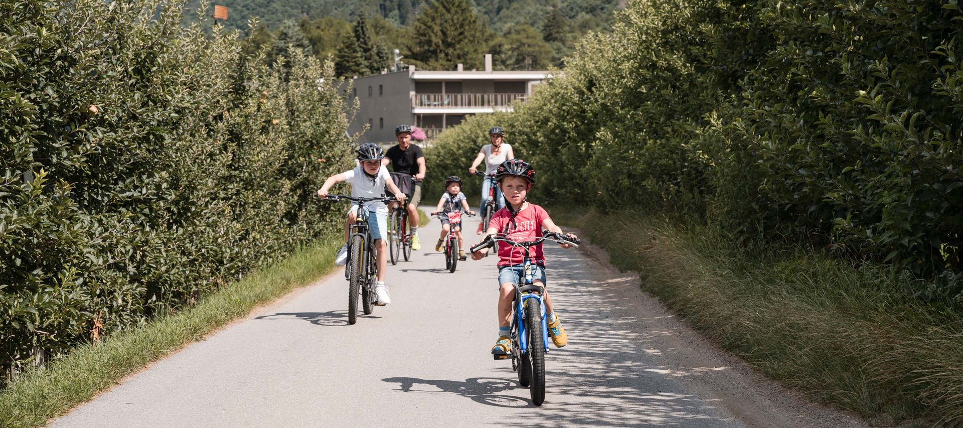 Langeweile ade im Aktivhotel in Südtirol Familie fährt mit Fahrrädern auf einem Weg zwischen Obstbäumen