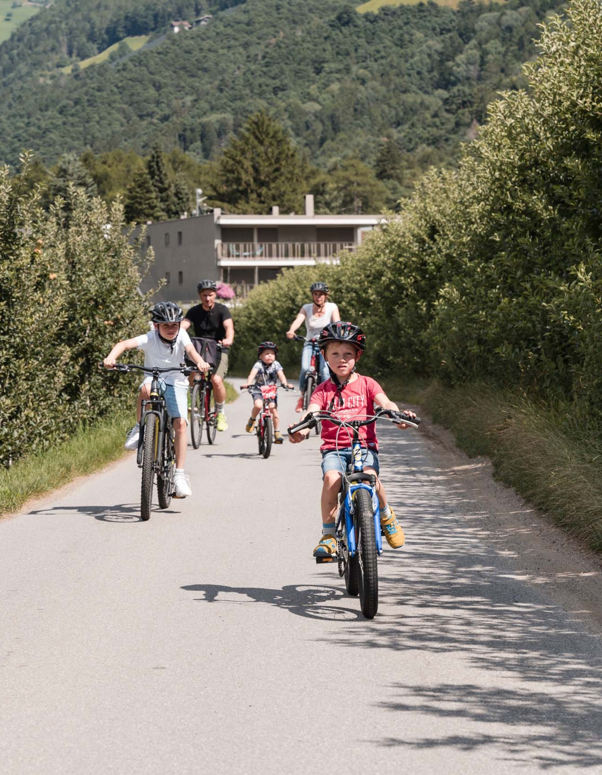 TYROL Family Retreat. Mehr als ein Familienhotel in Naturns. Familie fährt mit Fahrrädern auf einem Weg zwischen Obstbäumen
