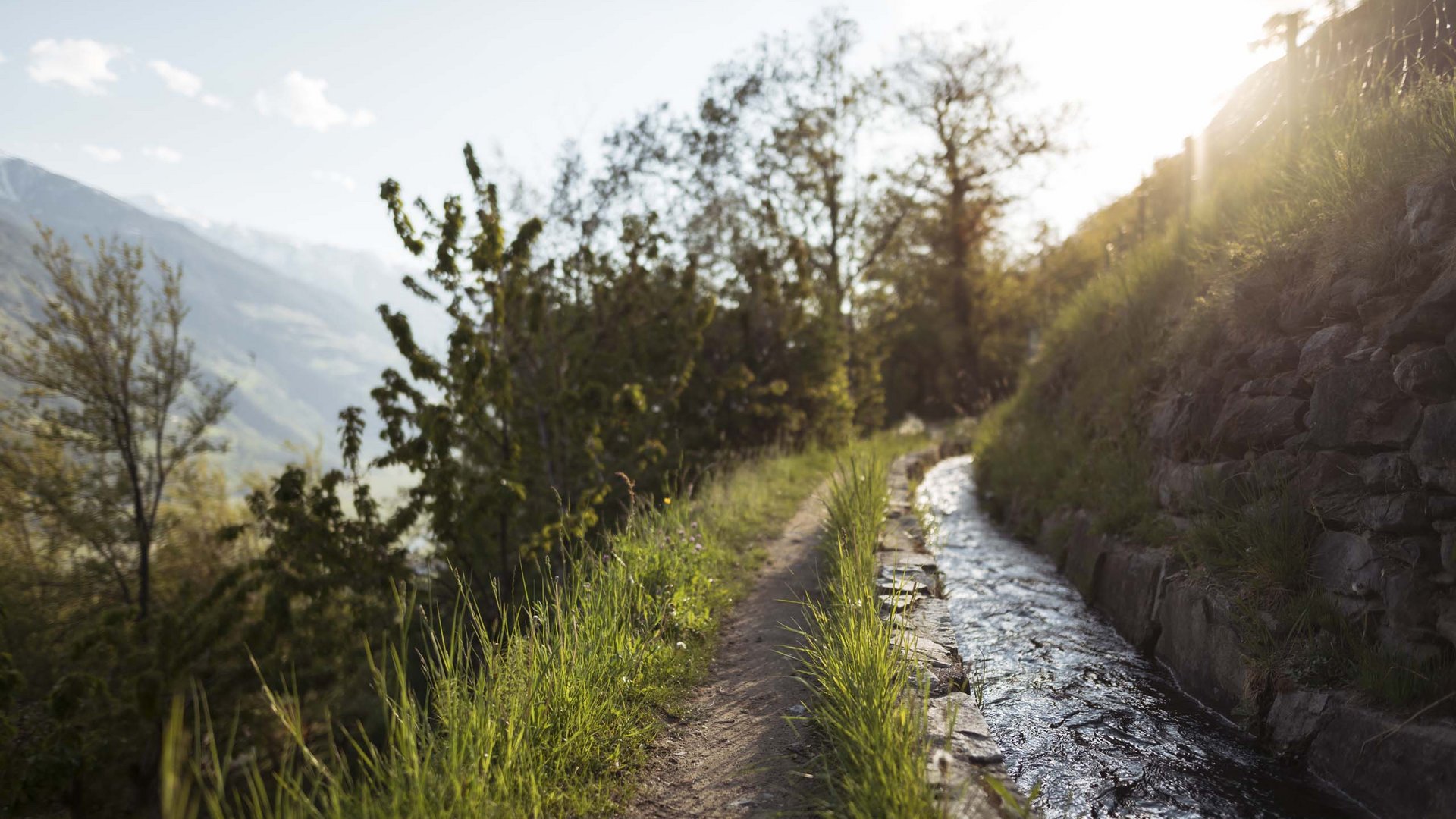 Euer vielseitiger Urlaub in Naturns Wanderweg neben einem Wasserkanal mit sonnigem Bergblick